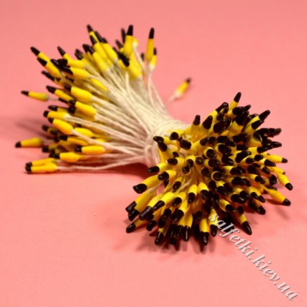 Цветочные тычинки желтые с черным кончиком