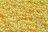 Бісер Preciosa 10/0, № 03181 Солгель фарбований SDC Жовтий, Круглий 10г.