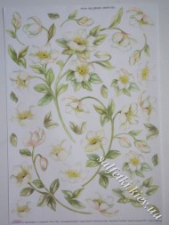 Декупажная карта тонкая - чемерица