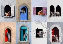 Декупажна карта - мишки AN114, формат А4, 60 г/м2