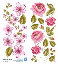 Набір карток для вирізування "Чайна троянда" 9х20 см