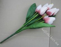 Букет тюльпанов бело-бордовый