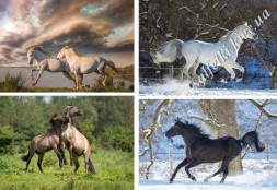 Декупажна карта 45 г/м2 №0064, формат А4