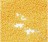 Бисер Preciosa 10/0, № 16383 Солгель Окрашенный SDC Желтый, Круглый 10г.