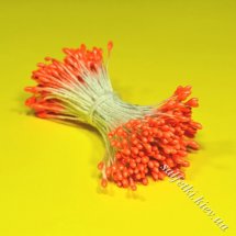 Small orange flower stamens
