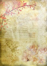 Декупажна карта 45 г/м2 №0162, формат А4