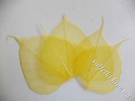 Скелетированные листья желтые (5 шт)