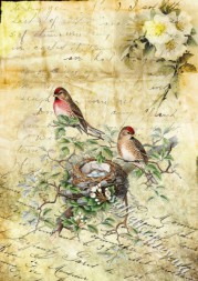 Декупажна карта 45 г/м2 №0166, формат А4