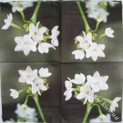 Серветка білі квіточки на стеблі 33 х 33 см (ТС1214)